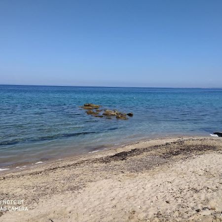 ネア・ポティダイア Lavender And Seaヴィラ エクステリア 写真
