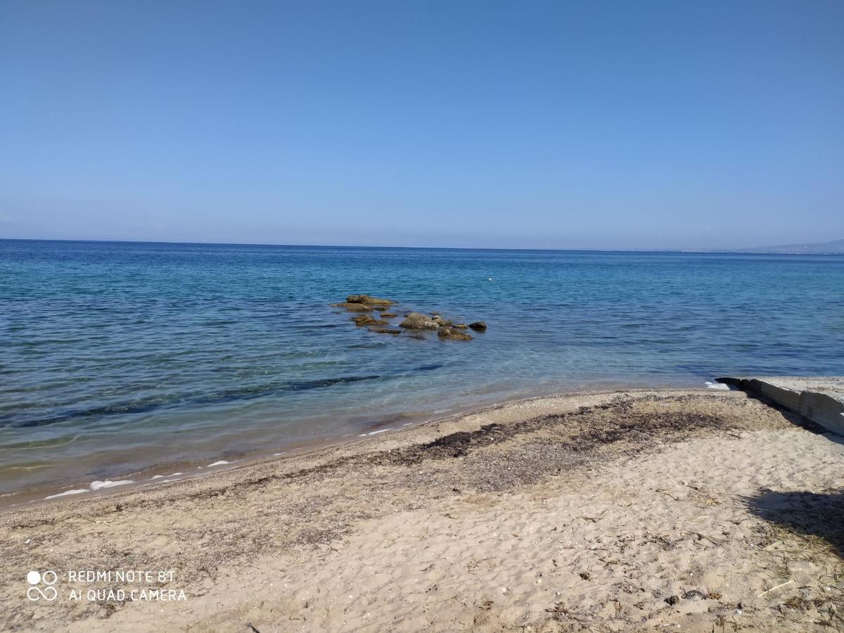 ネア・ポティダイア Lavender And Seaヴィラ エクステリア 写真